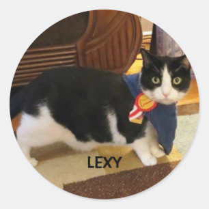 LEXY STICKER