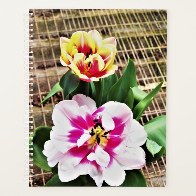 Lg Planner Pink/Yellow Tulips (Front)