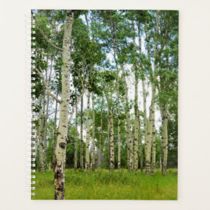 Lg Planner Quaking Aspens @ Yellowstone