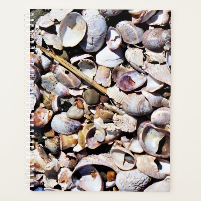 Lg Planner Seashells (Front)