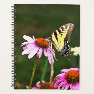 Lg Planner Tiger Swallowtail on Coneflower