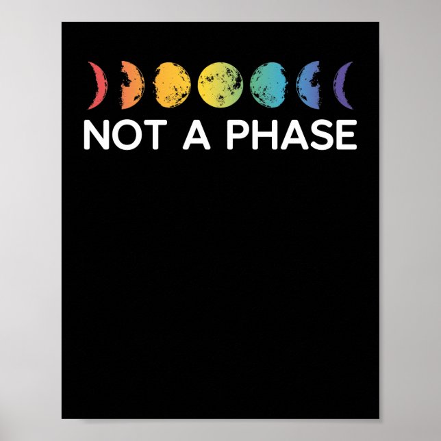 LGBT Gay Pride Month  Not A Phase Poster (Front)