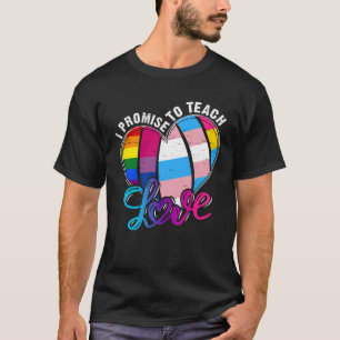 LGBT Teacher Promise To Teach Proud Allies LGBT Q T-Shirt