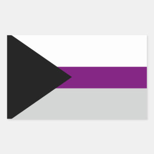 LGBTQ Demisexual Pride Rectangular Sticker