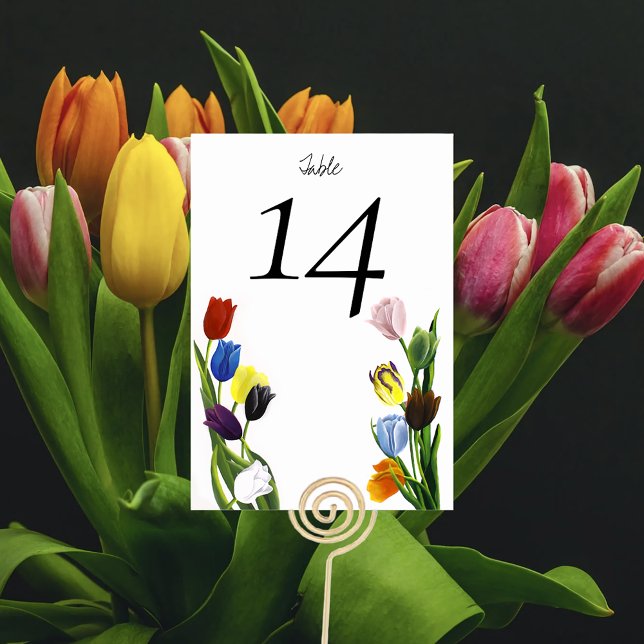 LGBTQ plus Tulips Flowers Table Number (Creator Uploaded)