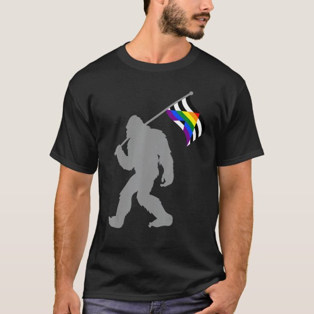 LGBTQ Straight Alliance Pride Flag on Straight Gay T-Shirt (Front)