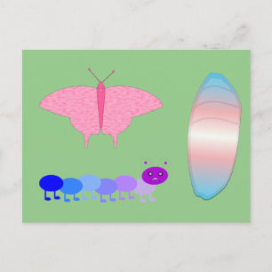 LGBTQIA Transgender Pride Caterpillar to Butterfly Postcard