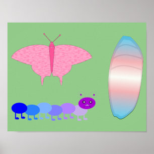 LGBTQIA Transgender Pride Caterpillar to Butterfly Poster