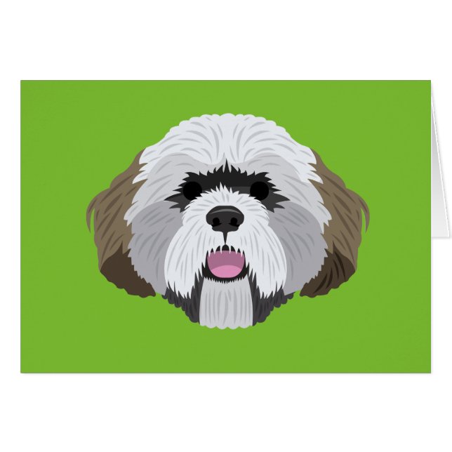 Lhasa Apso (Front Horizontal)