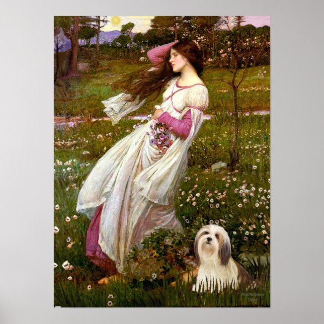 Lhasa Apso 4 - Windflowers Poster (Front)
