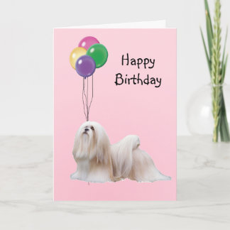 Lhasa Apso, Birthday Balloons Card