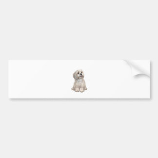 Lhasa Apso (C) - Light gold Bumper Sticker