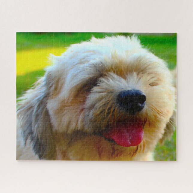Lhasa Apso Dog Breed. Jigsaw Puzzle (Horizontal)