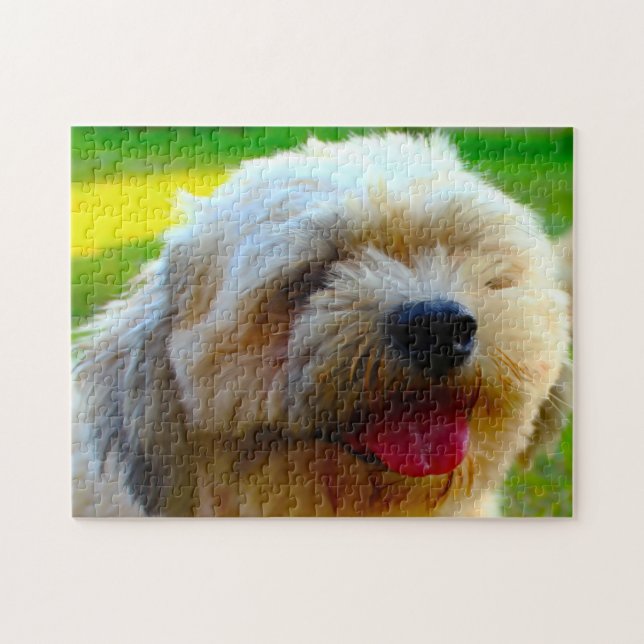 Lhasa Apso Dog Breed. Jigsaw Puzzle (Horizontal)