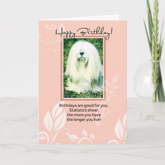 Lhasa Apso Dog Humourous Birthday Card (Front)