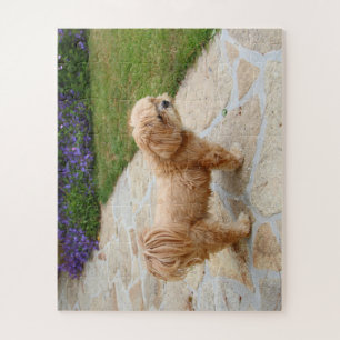 Lhasa Apso dog in a garden Jigsaw Puzzle