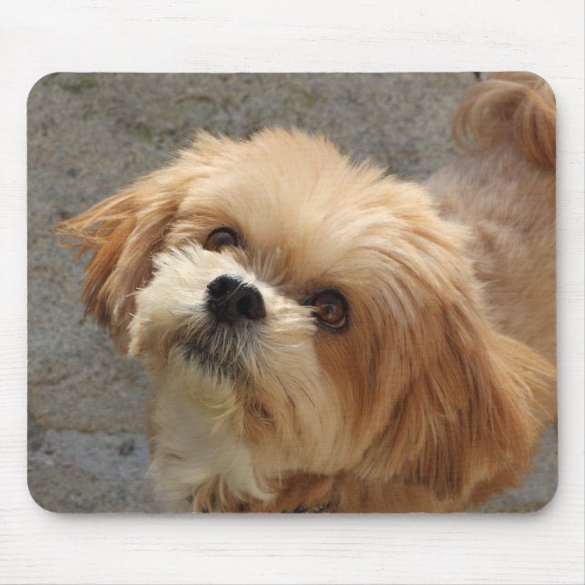 Lhasa Apso dog in a garden Mouse Pad (Front)
