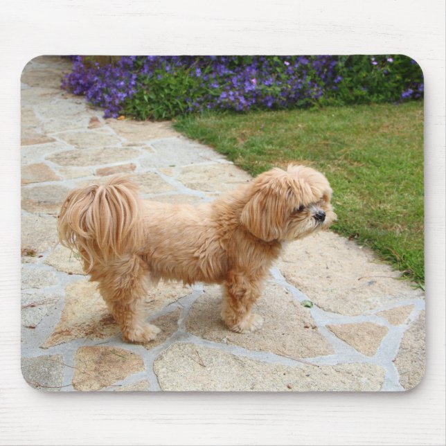 Lhasa Apso dog in a garden Mouse Pad (Front)