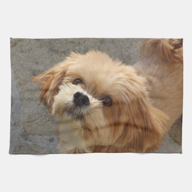 Lhasa Apso dog in a garden Tea Towel (Horizontal)