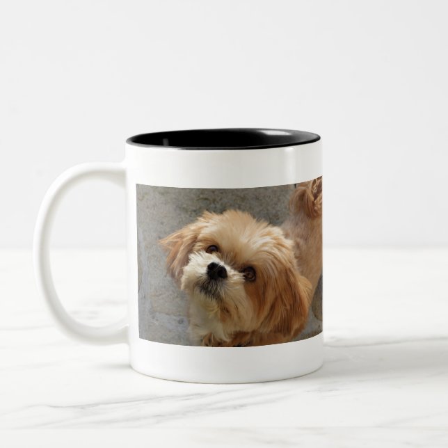 Lhasa Apso dog in a garden Two-Tone Coffee Mug (Left)