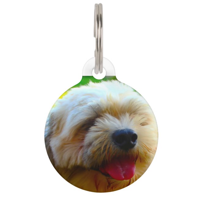 Lhasa Apso Dog. Pet Tag (Front)