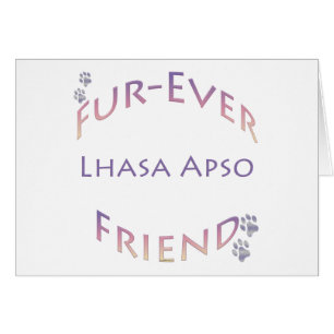 Lhasa Apso Furever