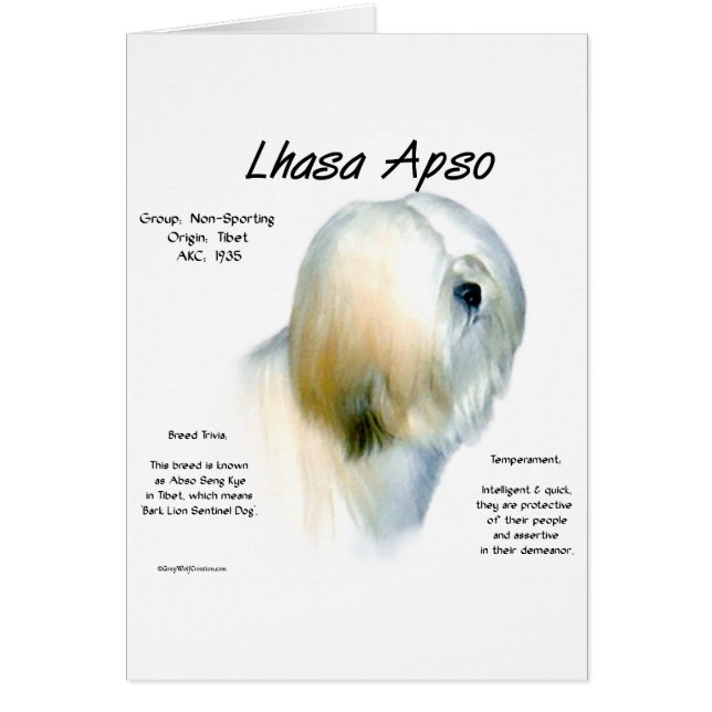 Lhasa Apso History Design (Front)