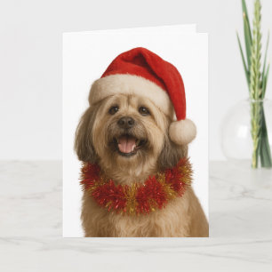 Lhasa Apso in a Santa hat Christmas card