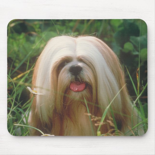 Lhasa Apso Mouse Pad (Front)