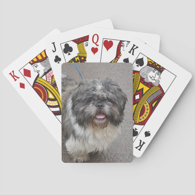 Lhasa Apso Playing Cards (Back)
