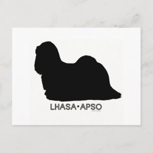 Lhasa Apso Postcard