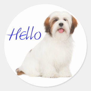 Lhasa Apso Puppy Dog Canine Pup Sticker / Label