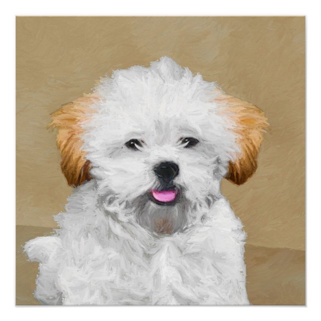 Lhasa Apso Puppy Painting - Cute Original Dog Art Poster (Front)