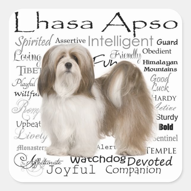 Lhasa Apso Stickers (Front)