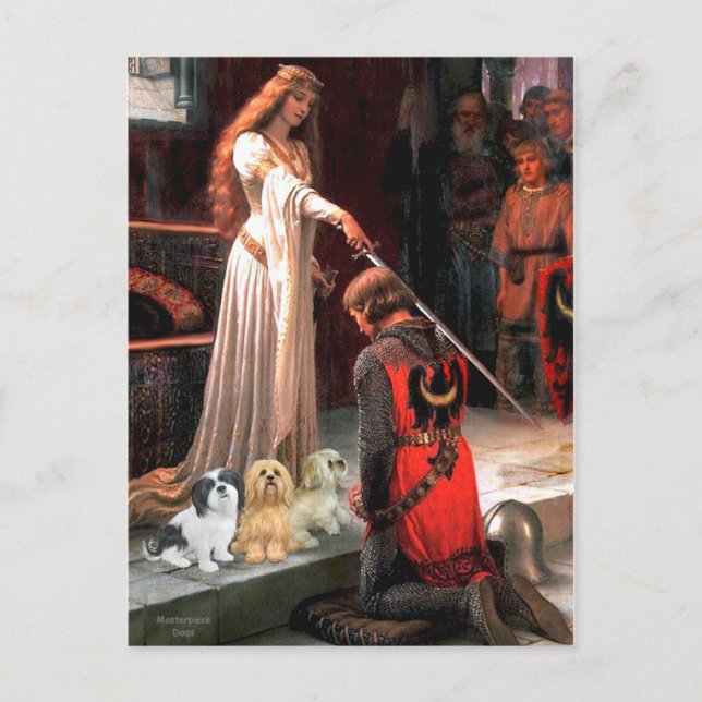Lhasa Apsos (three) - The Accolade Postcard (Front)