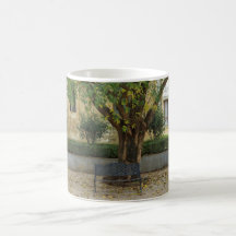 Li Garden Series: Echoes Beneath the Tree
