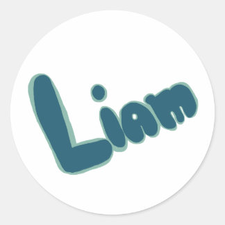 Liam Classic Round Sticker