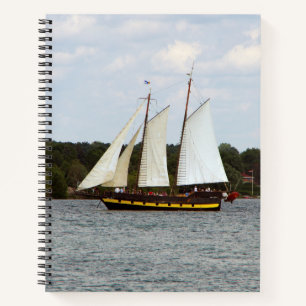 Liana's Ransom notebook