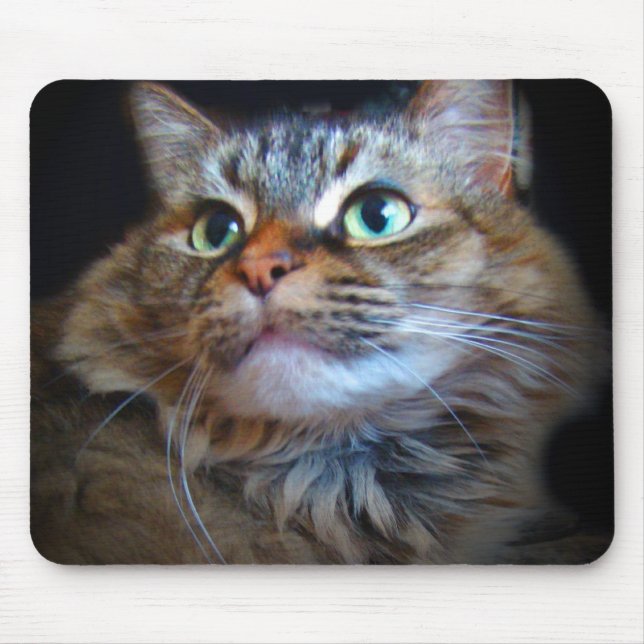 libby cat mousepad (Front)