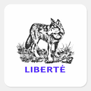 Liberté - Loup dans la nature sauvage Square Sticker