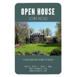 Liberty's Torch Shines On (3" x 4" Magnet) Magnet