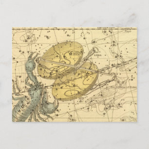 Libra, Scorpio Postcard
