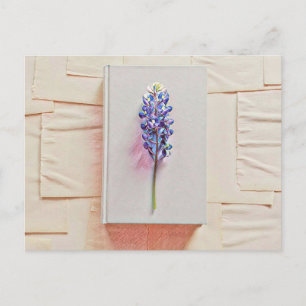 Librarian birthday gift postcard