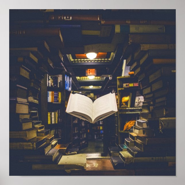 Library Books Shelves Open Book Read Poster (Front)