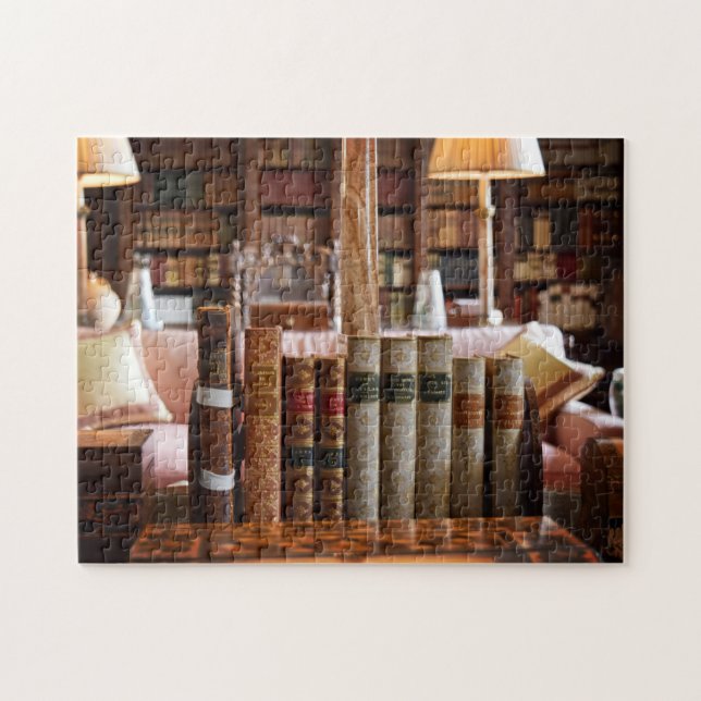Library Bookworm at Hever Castle - 16x20 - 520 pc Jigsaw Puzzle (Horizontal)
