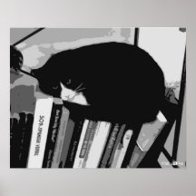 Library Cat