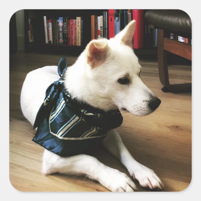 Library Eno Sticker (Front)