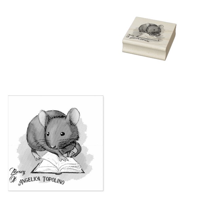 Library Of Topo Book Ownership Ink Stamp (Stamped)