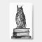 Library Owl