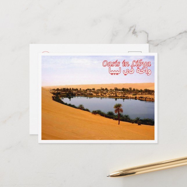 Libya - Oasis - Postcard (Front/Back In Situ)